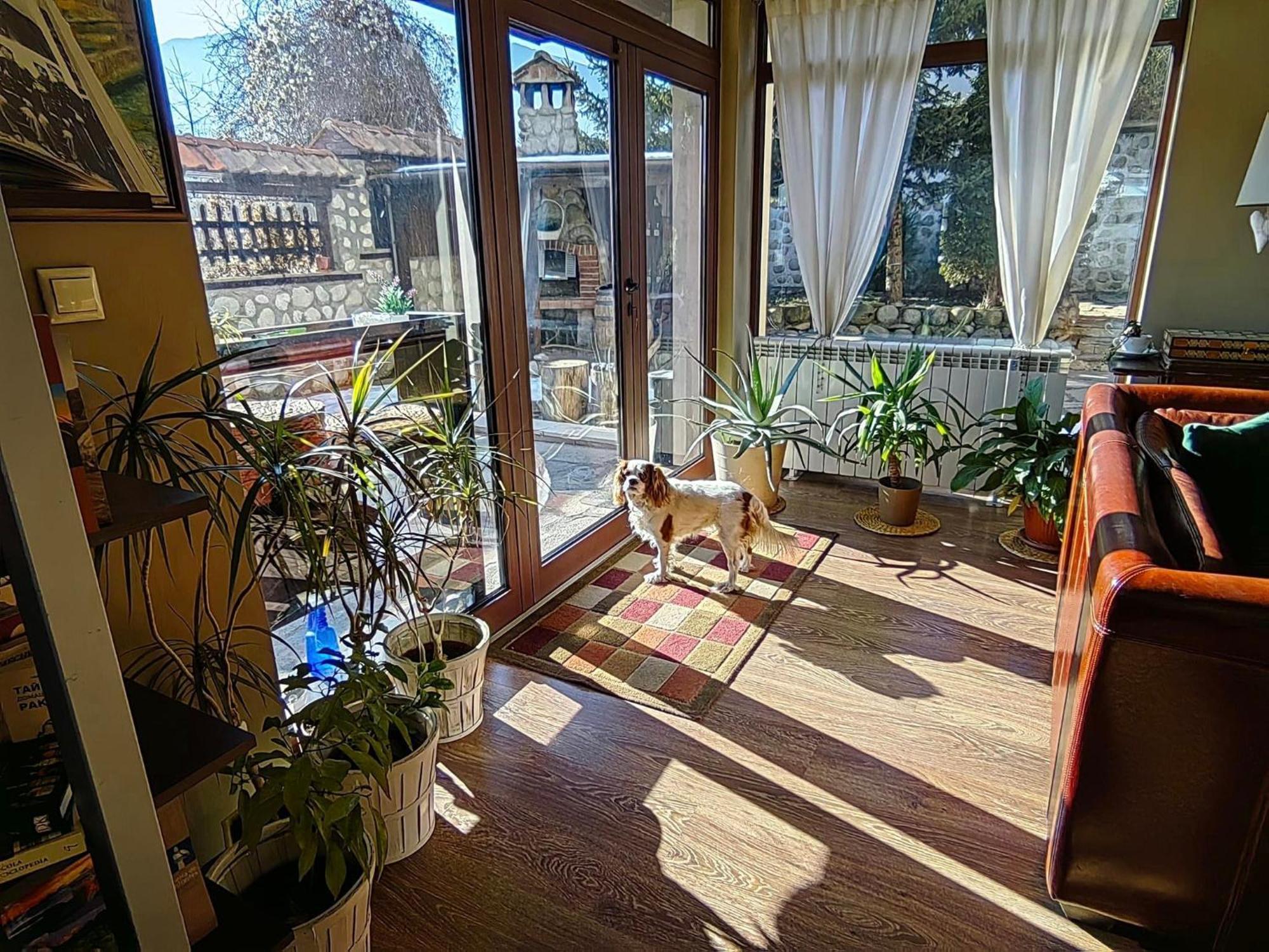 Hotel Famil - Adults Only Banszko Kültér fotó